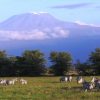 amboseli
