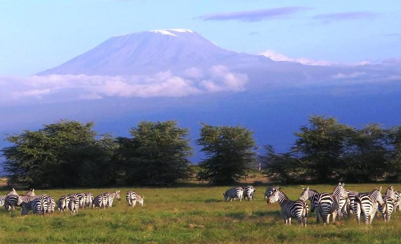 amboseli