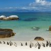 Peninsula Full Day Tour